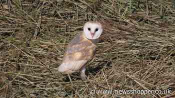 Bexley ‘furious’ at plans for carbon capture plants on nature reserve