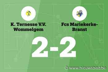 Ternesse speelt gelijk in thuiswedstrijd tegen Mariekerke-Branst