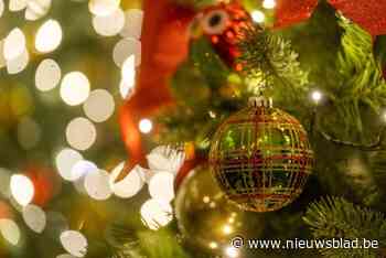 Opnieuw kerstmarkt in Hingene