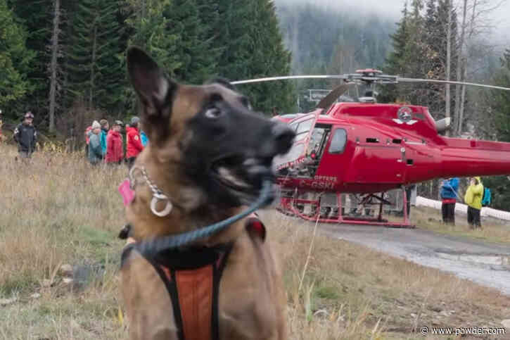 Whistler's Avalanche Rescue Dogs Train With Helicopters