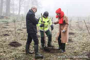 Stad plant 2.900 bomen en struiken op het Laar in Ekeren-Donk