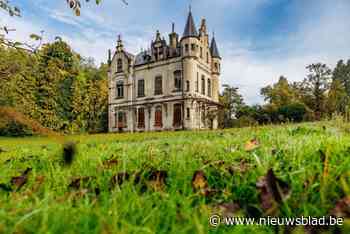 Stad zet in op vergroening Nekkerspoel: “We maken er een parkwijk van”