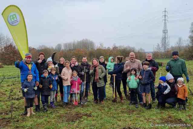 Collega’s planten vierkante meter bos per werknemer: “In plaats van chocolade met Pasen”