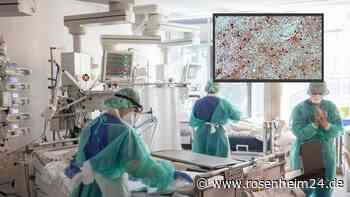 Fast immer tödlich: Mensch nach Infektion mit Borna-Virus in Mittelfranken gestorben