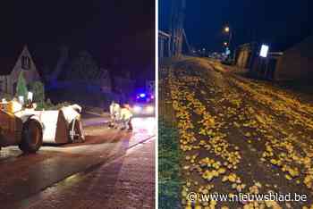 Vrachtwagen verliest lading: dorpsstraat vol aardappelen