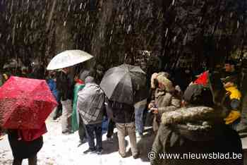 Talrijke opkomst voor eerste initiatief van ‘Vrede voor Gaza’: “Er heerst veel solidariteit en strijdvaardigheid in Lier”