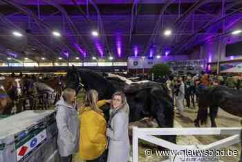 ‘Azeltofste Paardenmarkt’ trekt veel volk