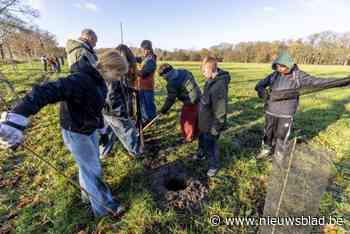 Natuurpunt en leerlingen Steinerschool planten bomen in Nazaretdreef