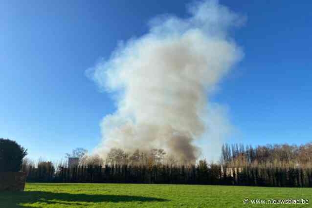 Brand kost het leven aan 120.000 kippen, onvrede over ‘trage’ BE-Alert voor vrijgekomen asbest: “We kregen een ‘sorry’”