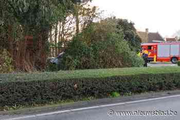 Auto mist rotonde en verdwijnt in struikgewas: vrouw (87) lichtgewond