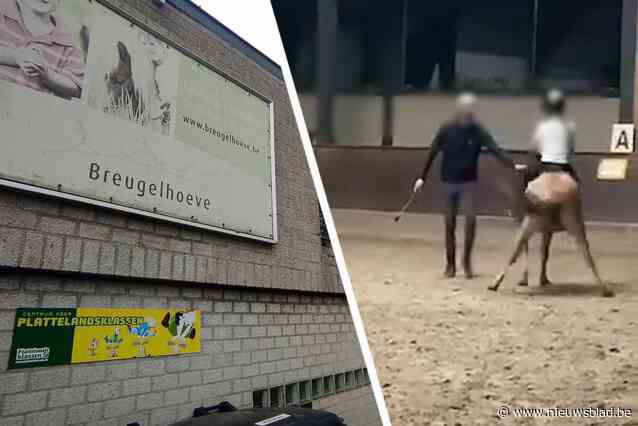 Uitbaatster van manege waar pony mishandeld werd ontving in het verleden al klachten via Dierenwelzijn