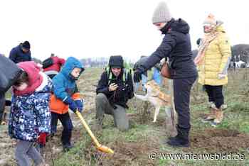 Buggenhoutbos uitgebreid met liefst 31.000 bomen en struiken, verspreid over bijna 10 hectare