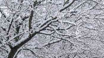 Sperrung für Stadtwald Augsburg und Gögginger Stadtwald aufgehoben