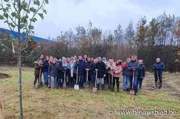 Werknemers AstraZeneca planten eerste 2.000 bomen van nieuw natuurpark: “Binnenkort voorzien we de wandelpaden en de Finse piste”