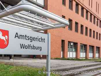 Nachbarin erwischt Wolfsburger Autoknacker auf frischer Tat