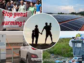 Muss jetzt auch der Weihnachtsbaum nachhaltig sein?