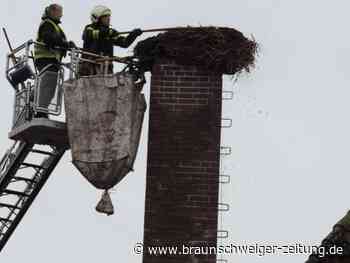 Gefahr gebannt: Storchennest in Warmenau saniert