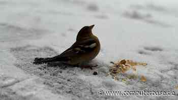 CB-Funk-Podcast #45: Das Warten auf den Nikolaus [Notiz]