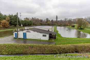 Visclub in zak en as na definitieve verkoop aan Natuurpunt: “Ze pakken onze hobby af”