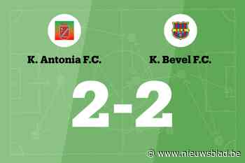 Antonia en Bevel delen de punten