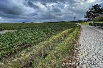 Gronden rechtover vip-dorp Ronde van Vlaanderen brengen recordbedrag op: “Dit hadden we niet verwacht”