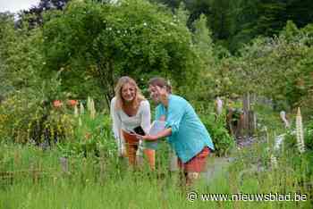 Wie gepersonaliseerd tuinadvies wil, wacht best niet te lang meer: “Het project zit nu in de helft van de looptijd”