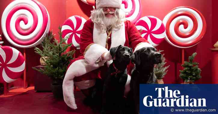 ‘Eccentric doesn’t cover it’: dogs visit Santa Paws at John Lewis’s pet grotto