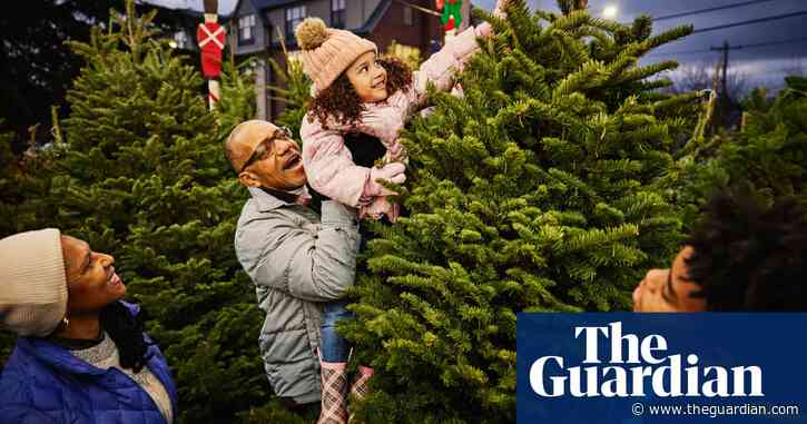 Christmas tree prices are rising in the UK – here’s how to get the best deals