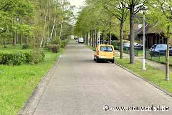Vier Borsbeekse straten aangeduid om het statuut van woonerf te krijgen