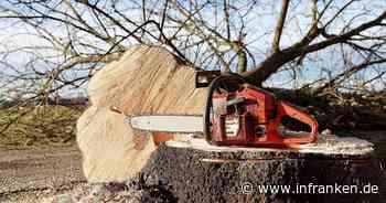 Weismain: St2191 ab Mitte Dezember gesperrt - Bäume werden gefällt