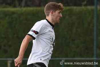 Van één op achttien naar twaalf op twaalf, geduld met trainer wordt beloond bij Hoeilaart: “Voor Nieuwjaar kunnen we nog goede zaken doen”