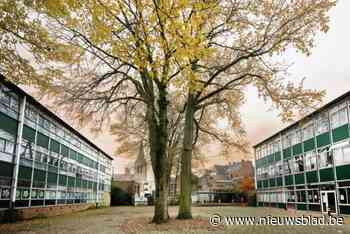 Stad investeert fors in laatste jaar voor verkiezingen: “Er komt een groene zone in het stadshart”