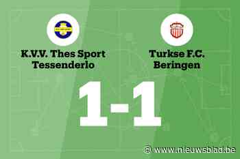 Thes Sport Tessenderlo B speelt gelijk tegen Turkse FC