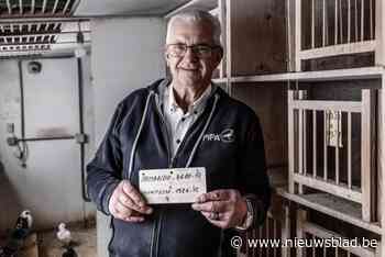 De ‘Eddy Merckx van de duivensport’ veilt zijn hele til: “Toen Armando boven het miljoen ging, dacht ik: ‘Ik heb een Duitse scheper nodig om mijn duivenkot te bewaken’”