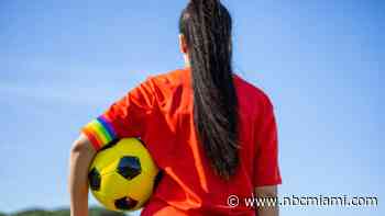 What does Florida law say about transgender athletes and which other states have a similar stance