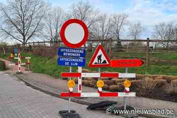 Chicorei-oogst in Kortessem zorgt voor omleiding binnen de omleiding