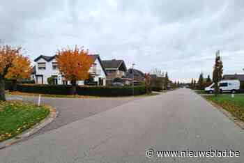 Stoepen onthard, wadi’s en ledverlichting: Kortessemse wijk Haechent wordt duurzaam heringericht