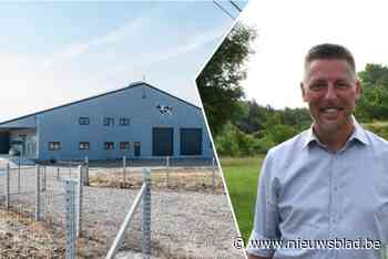 Boeren willen energiefactuur drukken met windmolen, maar dat is buiten de buurt gerekend: “Eigenlijk wat jammer”