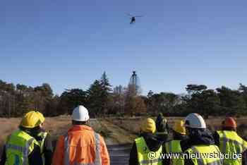 Zeven miljoen kilo steenmeel moet de Limburgse bossen redden