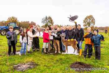 Provincie lanceert zot plan: vóór eind volgend jaar minstens 150 hectare bos erbij