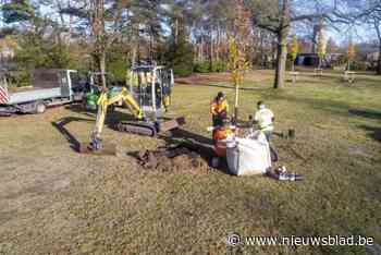 Stad plant 119 nieuwe bomen als compensatie voor werken rondweg