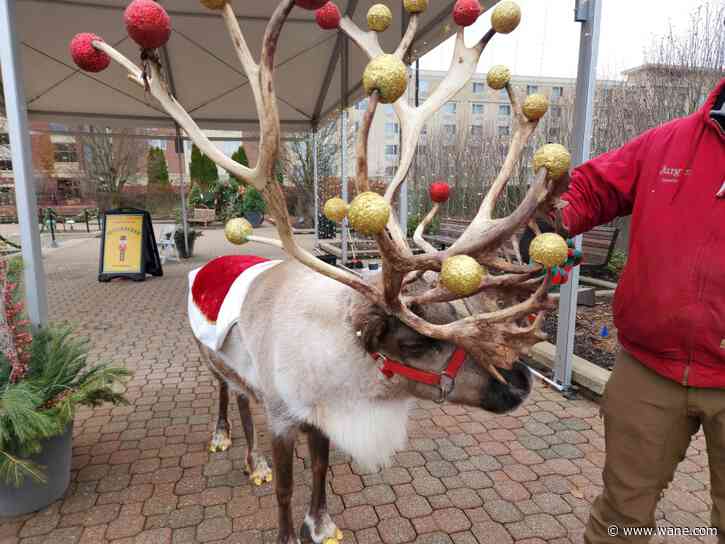 Santa, reindeer make first appearance at conservatory