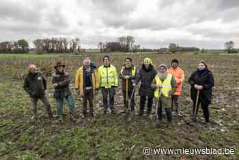 Grote plantactie breidt Huwynsbossen uit: “We verdubbelen oppervlakte bos in onze gemeente”