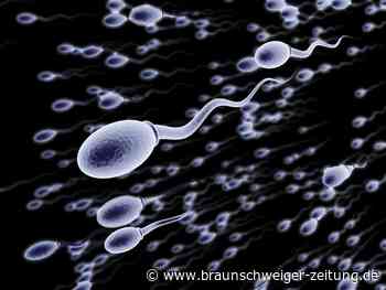 Diese 5 Lebensmittel beeinträchtigen die Spermienproduktion