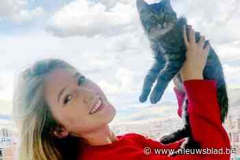 Opschorting gevorderd voor baasje van katje Lee: “Hij zat gewoon op zolder, maar daar werd tijdens de huiszoeking niet gekeken”