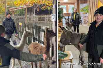 Schattige beelden tonen hoe dieren terugkeren naar vertrouwde stek na overstroming: “Veel traantjes gevloeid”