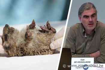 Fonds moet werking van noodlijdend vogelopvangcentrum ondersteunen: “Hun inzet mag niet verloren gaan”