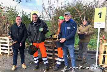 Riemst krijgt er 740 klimaatbomen bij in één weekend