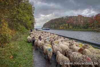 Stap eens mee met driehonderd mergellandschapen