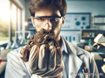 Mikroplastik im Ackerboden: Tomographie mit Neutronen und Röntgen zeigt, wo sich Partikel einlagern